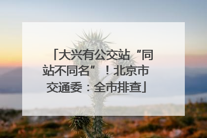 大兴有公交站“同站不同名”！北京市交通委：全市排查