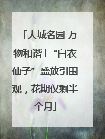 大城名园 万物和谐│“白衣仙子”盛放引围观，花期仅剩半个月
