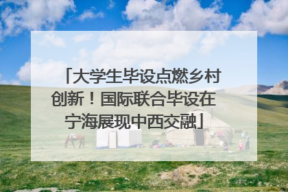 大学生毕设点燃乡村创新！国际联合毕设在宁海展现中西交融