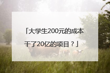 大学生200元的成本干了20亿的项目？