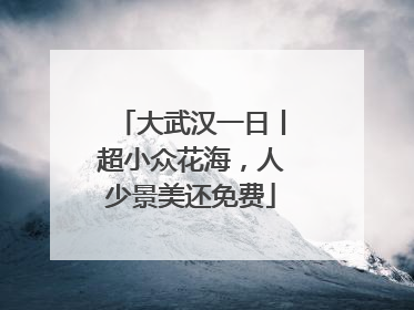 大武汉一日丨超小众花海，人少景美还免费