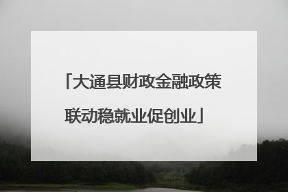 大通县财政金融政策联动稳就业促创业
