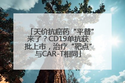 天价抗癌药“平替”来了？CD19单抗获批上市，治疗“靶点”与CAR-T相同