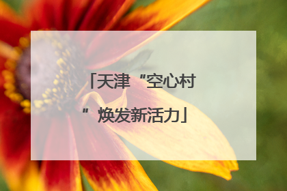 天津“空心村”焕发新活力