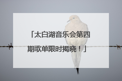 太白湖音乐会第四期歌单限时揭晓！