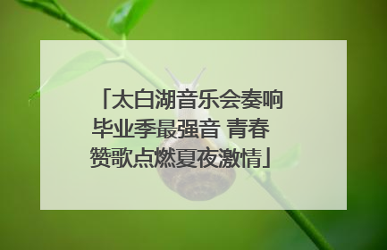 太白湖音乐会奏响毕业季最强音 青春赞歌点燃夏夜激情