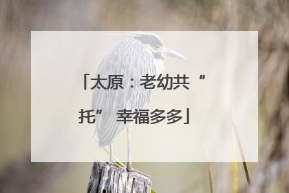太原：老幼共“托” 幸福多多