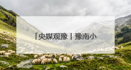 央媒观豫丨豫南小城做好县域经济大文章——解锁“舌尖产业”的创新密码