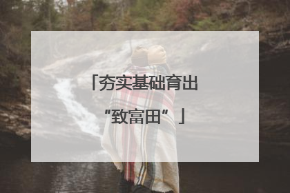 夯实基础育出“致富田”