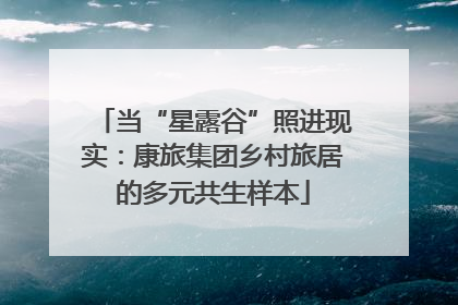 当“星露谷”照进现实：康旅集团乡村旅居的多元共生样本
