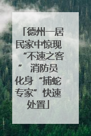 德州一居民家中惊现“不速之客” 消防员化身“捕蛇专家”快速处置