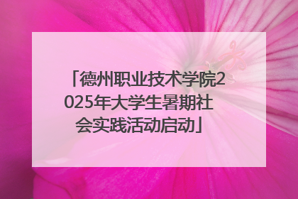 德州职业技术学院2025年大学生暑期社会实践活动启动