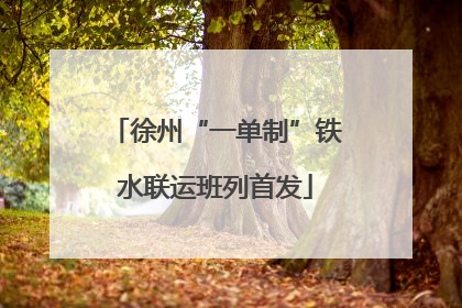 徐州“一单制”铁水联运班列首发