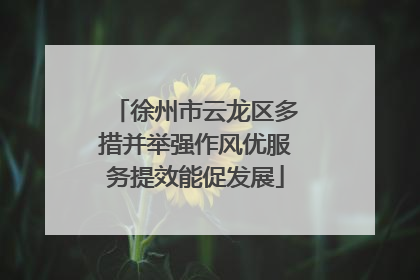 徐州市云龙区多措并举强作风优服务提效能促发展