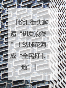 徐汇街头邂逅“初夏浪漫”！绣球花海成“全民打卡地”