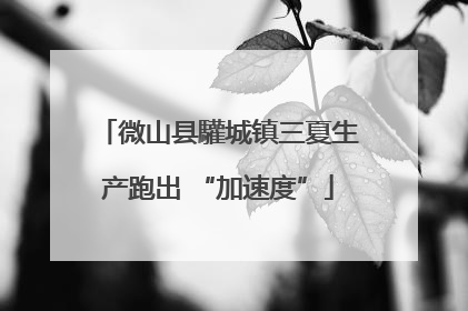 微山县驩城镇三夏生产跑出 “加速度”