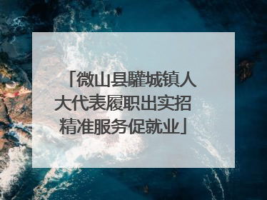 微山县驩城镇人大代表履职出实招精准服务促就业
