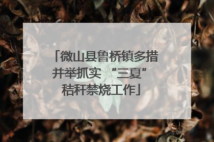 微山县鲁桥镇多措并举抓实 “三夏” 秸秆禁烧工作