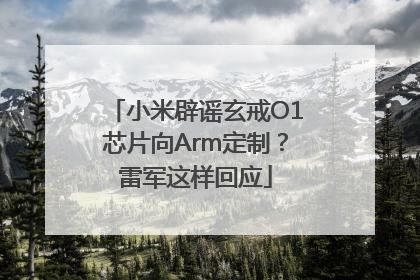 小米辟谣玄戒O1芯片向Arm定制？雷军这样回应