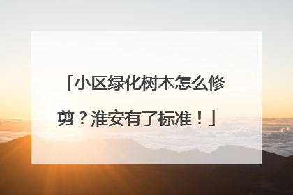 小区绿化树木怎么修剪？淮安有了标准！