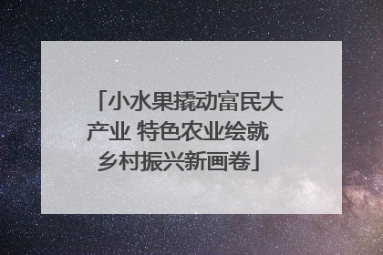 小水果撬动富民大产业 特色农业绘就乡村振兴新画卷