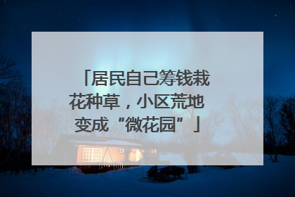 居民自己筹钱栽花种草，小区荒地变成“微花园”