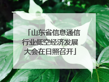 山东省信息通信行业低空经济发展大会在日照召开