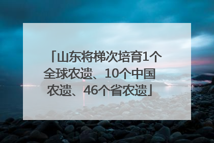 山东将梯次培育1个全球农遗、10个中国农遗、46个省农遗