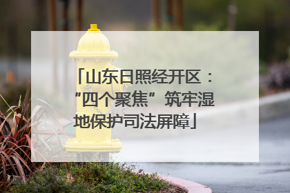 山东日照经开区：“四个聚焦”筑牢湿地保护司法屏障