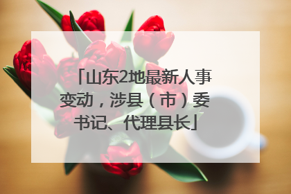 山东2地最新人事变动，涉县（市）委书记、代理县长