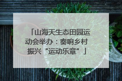 山海天生态田园运动会举办：奏响乡村振兴“运动乐章”