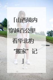 山西境内穿越百公里 看华北豹“搬家”记