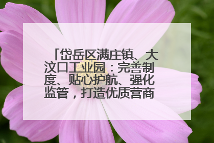 岱岳区满庄镇、大汶口工业园：完善制度、贴心护航、强化监管，打造优质营商“强磁场”