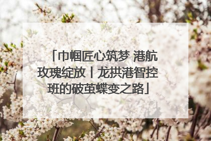 巾帼匠心筑梦 港航玫瑰绽放丨龙拱港智控班的破茧蝶变之路