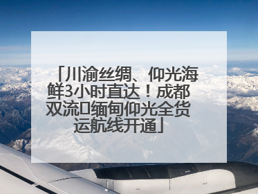 川渝丝绸、仰光海鲜3小时直达！成都双流⇌缅甸仰光全货运航线开通
