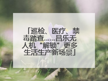 巡检、医疗、禁毒踏查……昌乐无人机“解锁”更多生活生产新场景