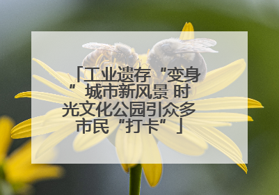 工业遗存“变身”城市新风景 时光文化公园引众多市民“打卡”