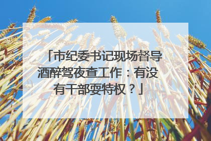 市纪委书记现场督导酒醉驾夜查工作：有没有干部耍特权？
