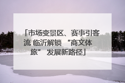 市场变景区、赛事引客流 临沂解锁 “商文体旅” 发展新路径