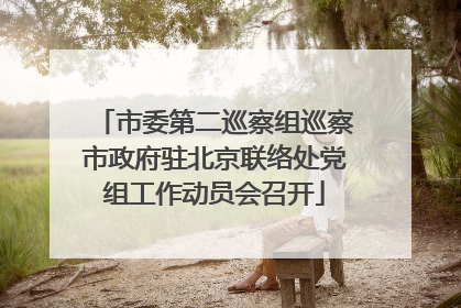 市委第二巡察组巡察市政府驻北京联络处党组工作动员会召开