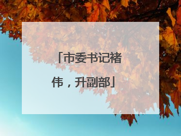 市委书记褚伟，升副部