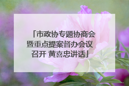 市政协专题协商会暨重点提案督办会议召开 黄喜忠讲话