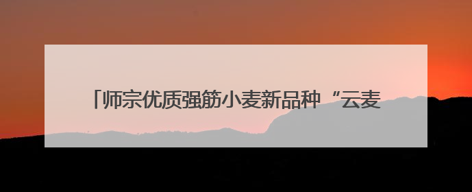 师宗优质强筋小麦新品种“云麦80”旱地生产示范喜获丰收
