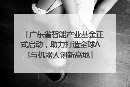 广东省智能产业基金正式启动，助力打造全球AI与机器人创新高地