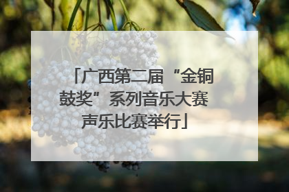 广西第二届“金铜鼓奖”系列音乐大赛声乐比赛举行