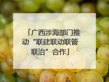 广西涉海部门推动“联建联动联管联治”合作