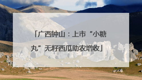 广西钟山：上市“小糖丸”无籽西瓜助农增收