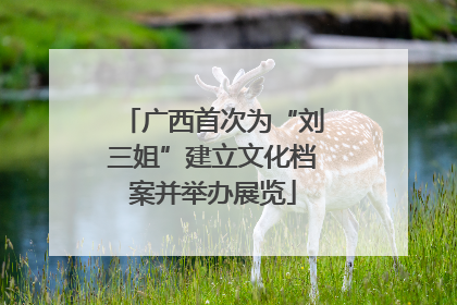 广西首次为“刘三姐”建立文化档案并举办展览