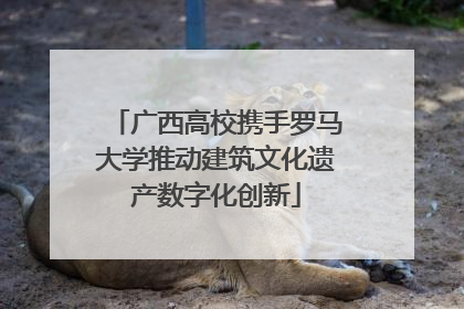 广西高校携手罗马大学推动建筑文化遗产数字化创新