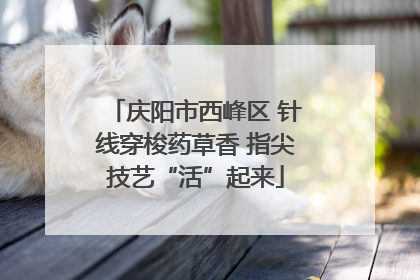 庆阳市西峰区 针线穿梭药草香 指尖技艺“活”起来